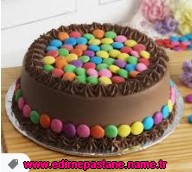 Edirne Çikolatalı Çilekli Mois pasta doğum günü pasta çeşitleri gönder